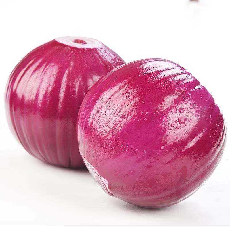 红葱头种植的那些门道儿 红葱头种植的那些门道儿