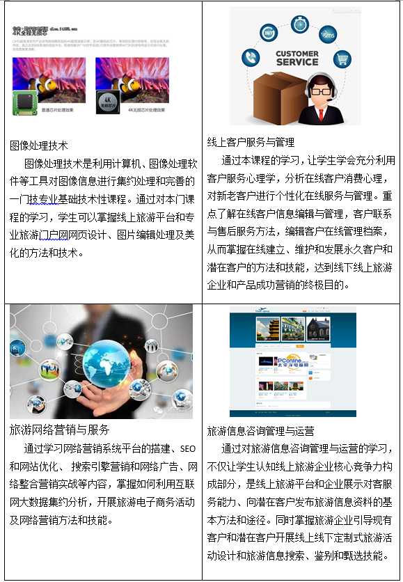 线上运营技术本：从零到一打造你的数字增长引擎