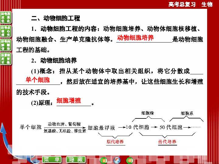 细胞克隆化那些事儿：从基础操作到前沿突破
