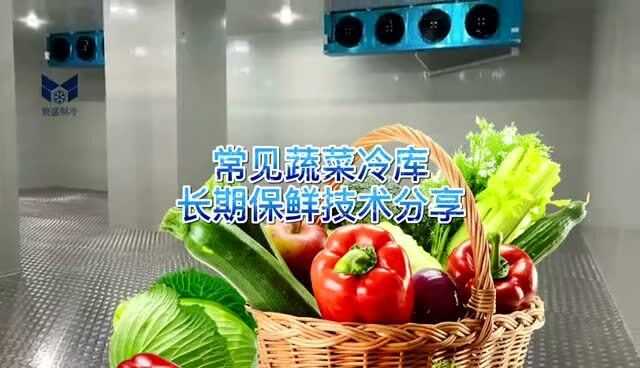 绿叶常青的奥秘，现代植物保鲜技术面面观