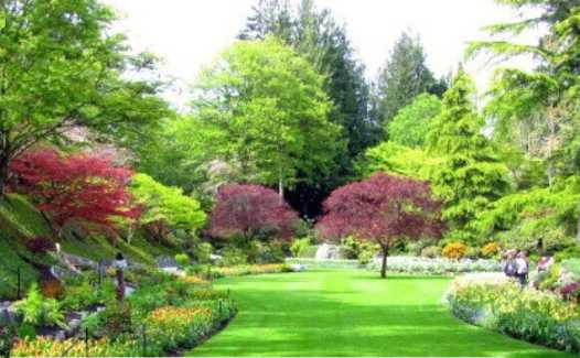 绿意筑梦:园林绿化专业技术岗的日常与远方 绿意筑梦:园林绿化专业技术岗的日常与远方