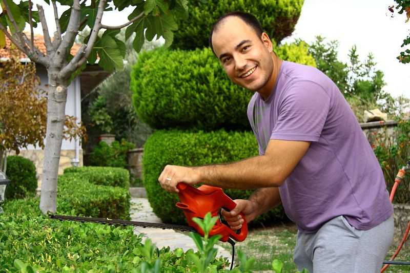 绿意筑梦:园林绿化专业技术岗的日常与远方 绿意筑梦:园林绿化专业技术岗的日常与远方