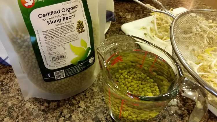 绿豆ai整理搜索内容的妙用与那些不为人知的细节感受