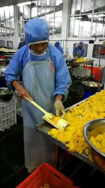 罐头食品背后的科技革命：从“老古董”到“鲜滋味”的华丽转身