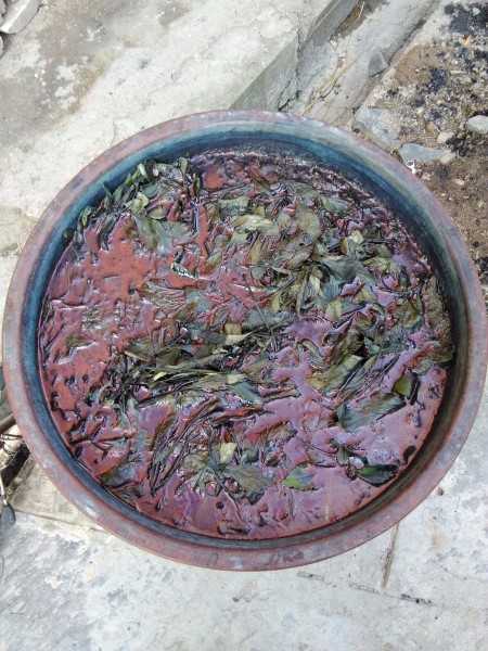 老祖宗的染缸里藏着什么绿色秘密?蓝靛发酵技术如何从古老智慧变身现代科技 老祖宗的染缸里藏着什么绿色秘密?蓝靛发酵技术如何从古老智慧变身现代科技