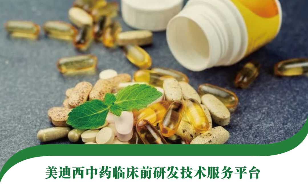 老药工的手艺与高科技的眼睛：教你几招看透药材品相的门道