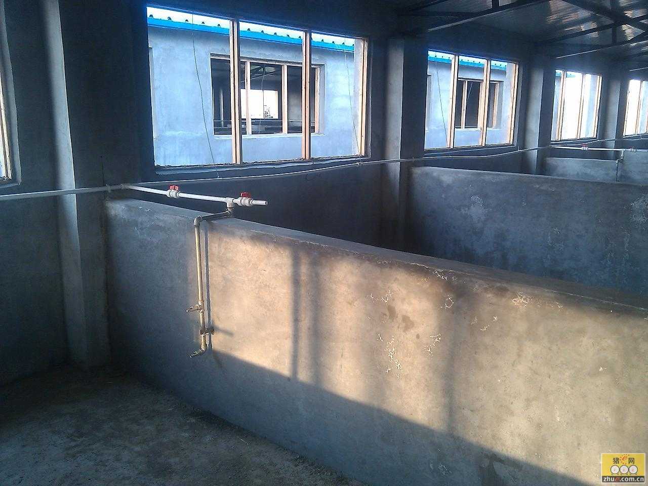 聊一聊建猪舍的那些门道和讲究-第2张图片-正海烽科技 - 领先的只能推广行业，智能制造解决方案提供商