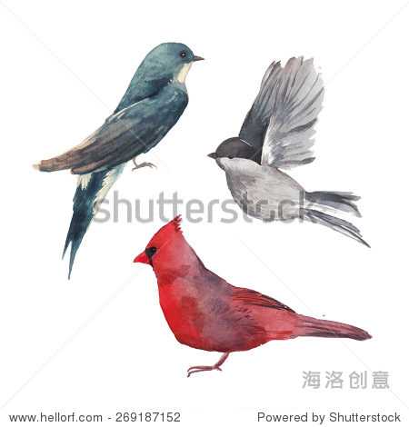 聊个智能助手？这只“白色小鸟”可真有点不一样！