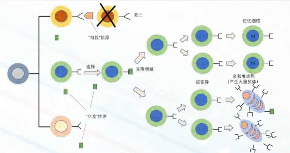 聪明写作的艺术：在AI检测与SEO优化间找到精妙平衡-第1张图片-正海烽科技 - 领先的只能推广行业，智能制造解决方案提供商