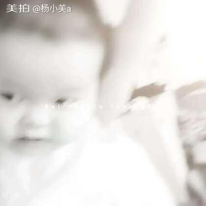 自从生活里冒出那个叫“杨小美”的AI助手，我的手机好像真成精了