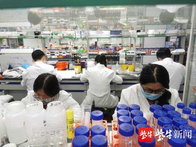舌尖上的科技革命：大专食品生物技术如何让你吃得更香更放心