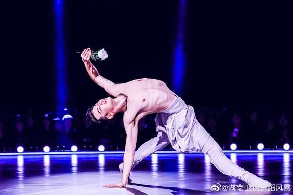 舞动《ai》：整理与感悟之旅