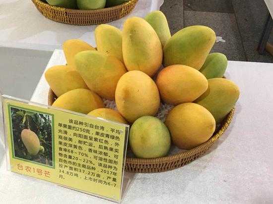 芒果AI推荐:让好内容主动找到你,追剧不再费劲扒拉 芒果AI推荐:让好内容主动找到你,追剧不再费劲扒拉