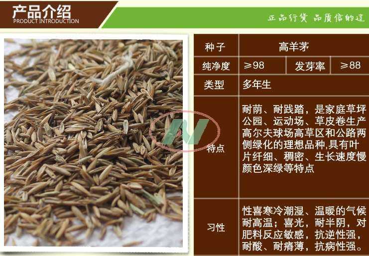 草籽采购技术标里头的门道,老把式带你摸透 草籽采购技术标里头的门道,老把式带你摸透