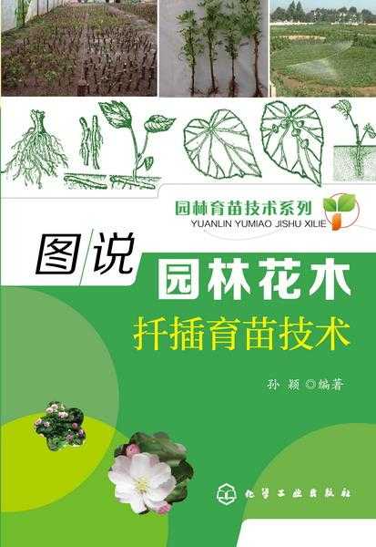 草花育苗技术的独家心法，手把手教你育出满园芬芳