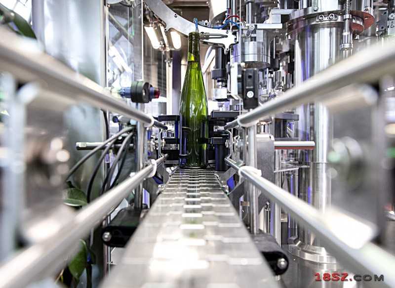 葡萄酒加工技术：从枝头到杯中的艺术