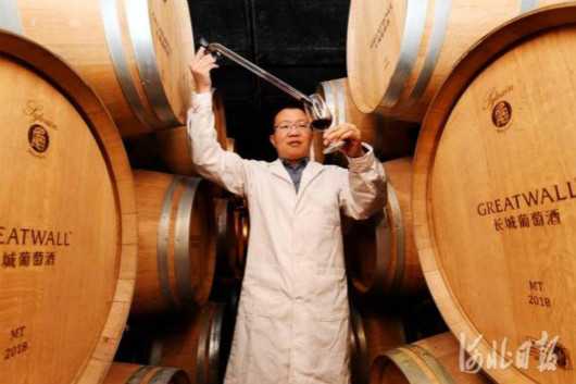 葡萄酒加工技术：从枝头到杯中的艺术