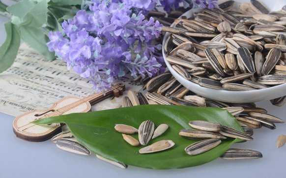 葵花子种植里头那些你不知道的门道