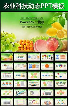 蔬菜移栽有门道，掌握技术成活高-第1张图片-正海烽科技 - 领先的只能推广行业，智能制造解决方案提供商