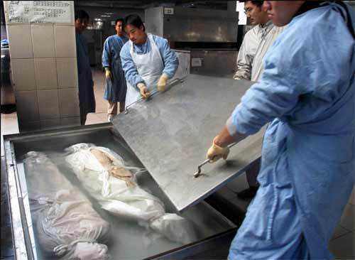 薄片塑化技术的奇妙世界：从医学解剖到工业制造的神奇转变