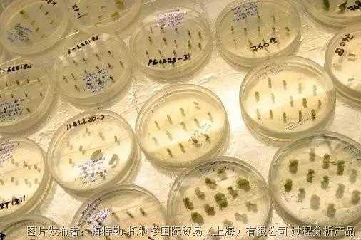 藏在皮肤深处的“长技术霉菌”，你了解多少？