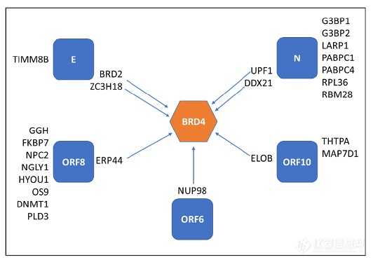 蛋白质质谱分析技术大：从实验室到生活，轻松搞定蛋白质难题