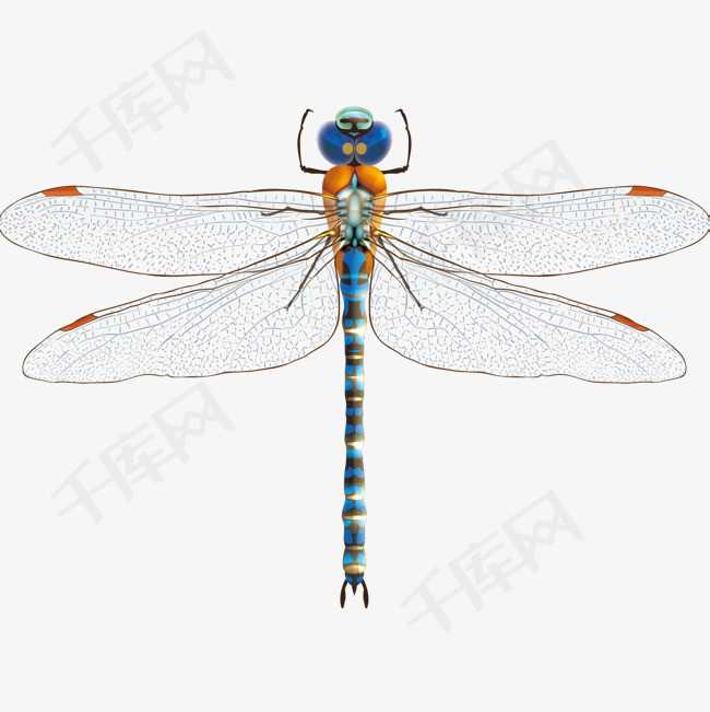 蜻蜓AI绘画：让你从“手残党”变身创意大师的秘密