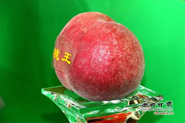 蟠桃生产技术精华整理