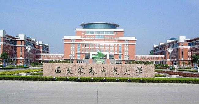 解锁你的知性气场:一件五道口技术学院风衬衫带来的氛围革命 解锁你的知性气场:一件五道口技术学院风衬衫带来的氛围革命