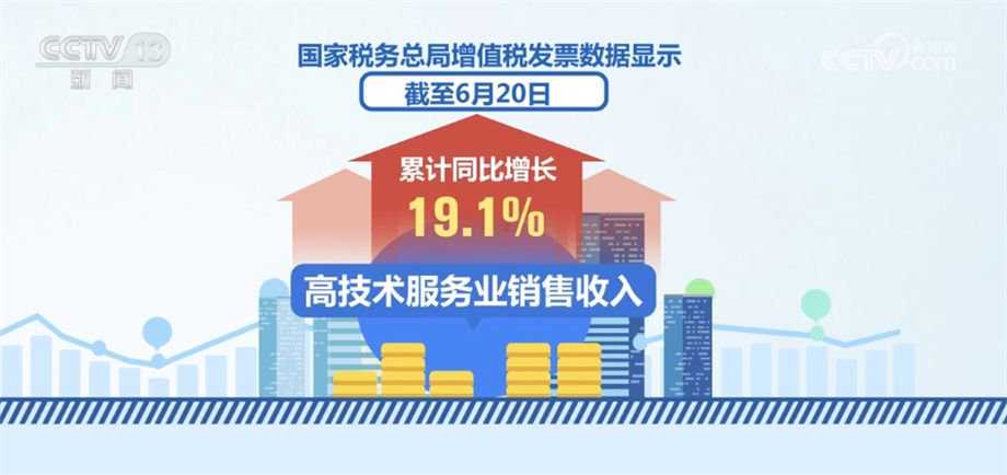 解锁技术服务六的奥秘：从概念到实战的全面指南