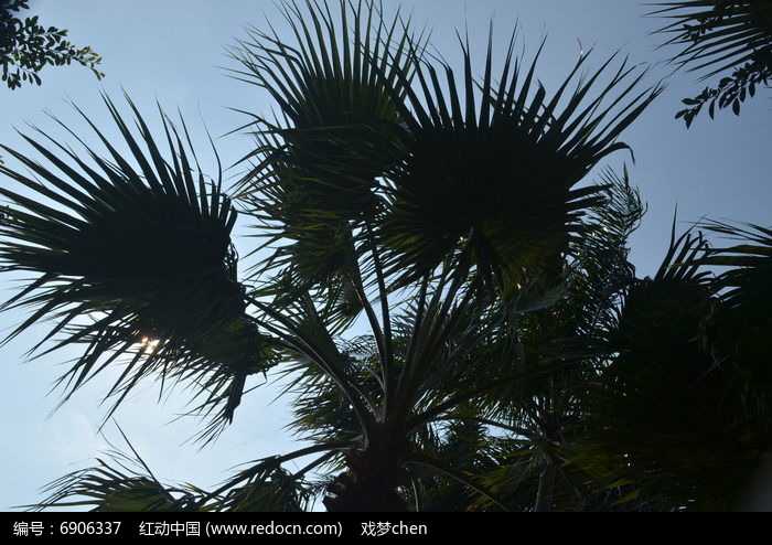 让AI不再冷冰冰，聊聊那个懂你的智能伙伴