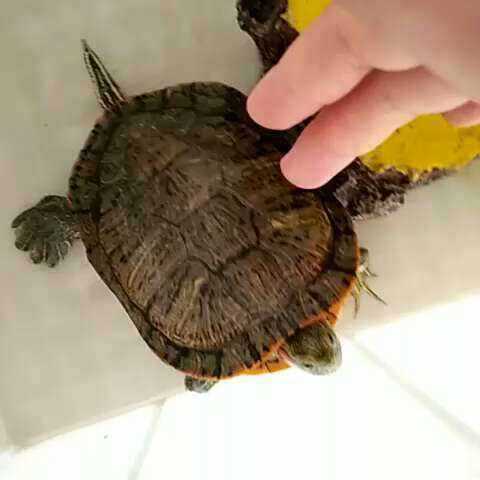 让你的工作流“跑”起来：告别卡顿与低效，体验智慧提速