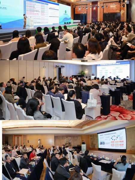 让创新不再“流浪”：标准化如何把技术“锁”进市场