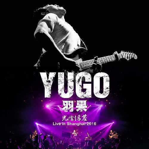 让照片里的人跳起舞来：AI工具如何将静态记忆变成动态魔法