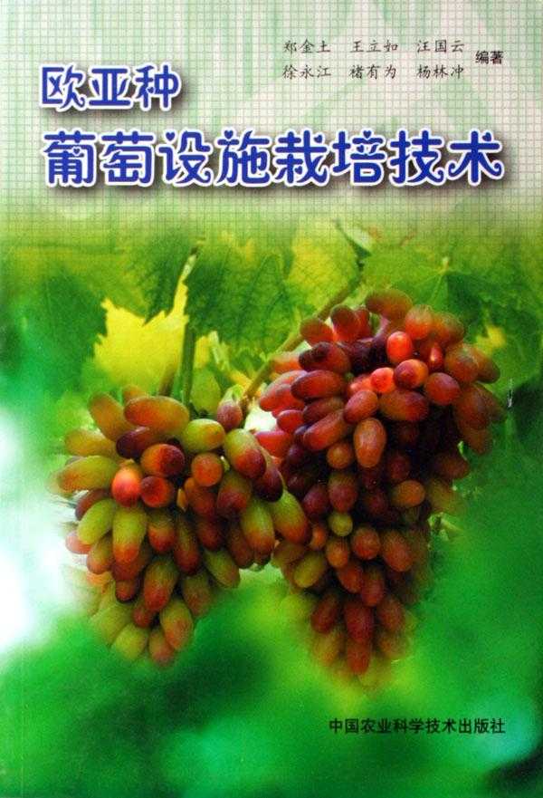 设施葡萄种植,从入门到精通的实用指南 设施葡萄种植,从入门到精通的实用指南