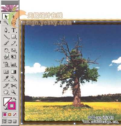 调整AI框粗细的秘诀与心得