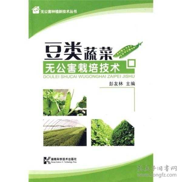 豆巴技术转让背后的生意经:从地方小吃到自动化生产的跨越 豆巴技术转让背后的生意经:从地方小吃到自动化生产的跨越