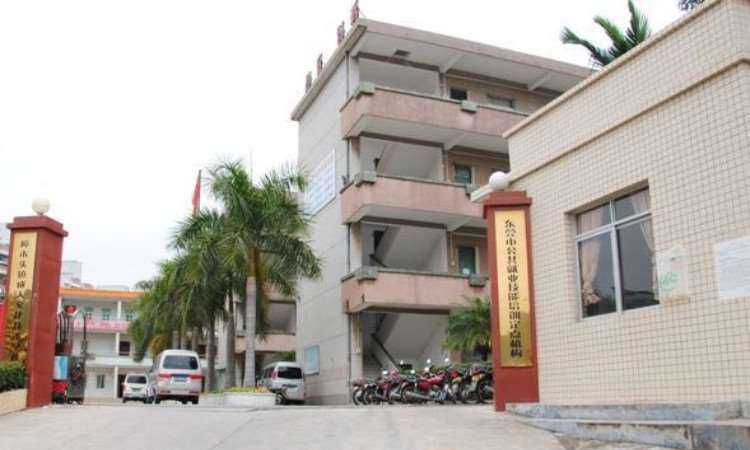 走进凤岗成人技术学校：打工族的“充电站”，街坊的“大学堂”