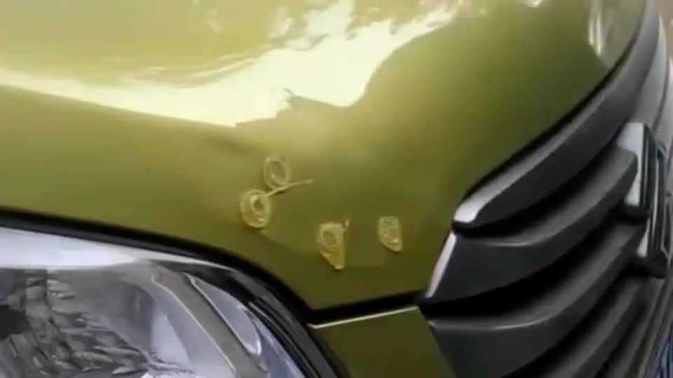 车被划了道子？别急着掏钱包，新技术让爱车自己就能“长好”！