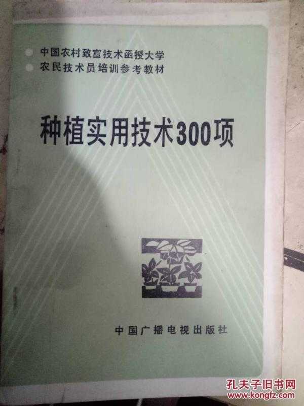 这个看似冷门的学科，正成为读懂数字时代的神奇钥匙
