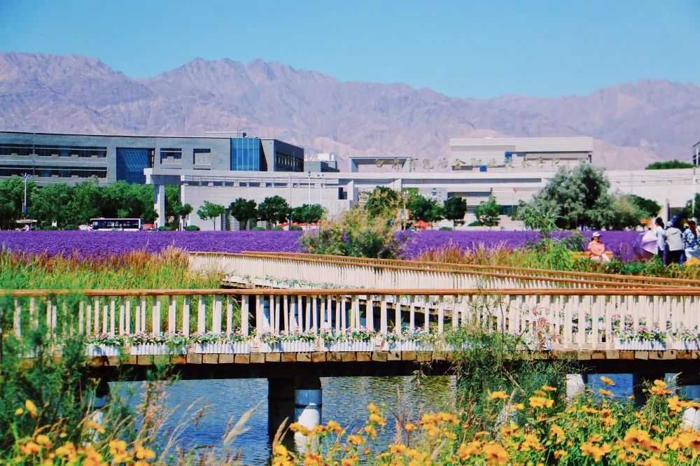 这所被花海与湖泊环绕的学校，凭啥成了企业的“人才仓库”？