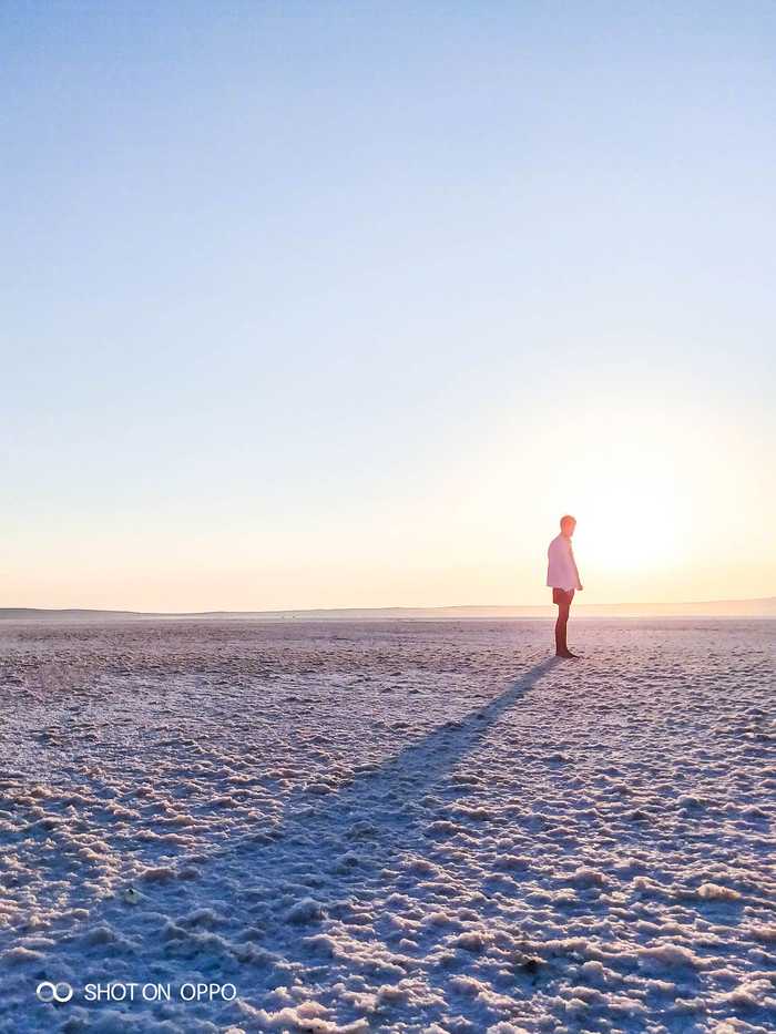 逆光智能：当阴影成为挑战，科技如何照亮前路