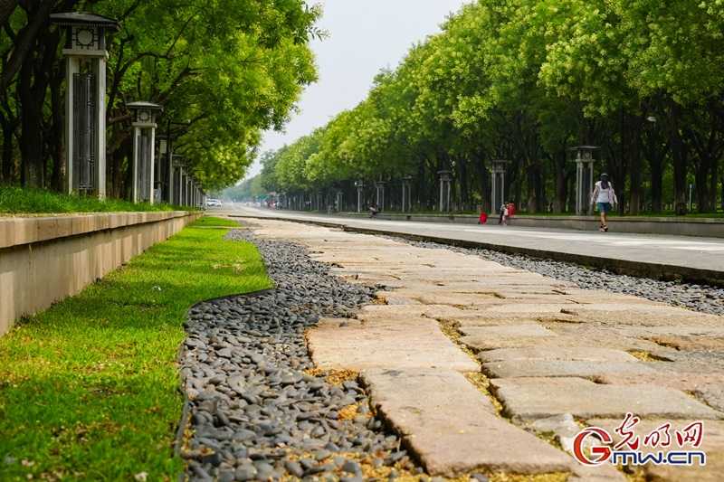 道路水浸让人烦，那些看不见的排水系统到底藏着啥门道？