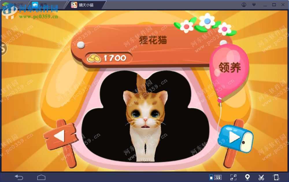 那只晴天小猫，正用AI治愈千万人心