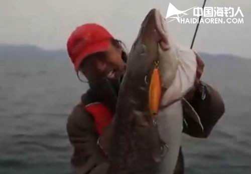 钓鱼技术交流群里的那些门道