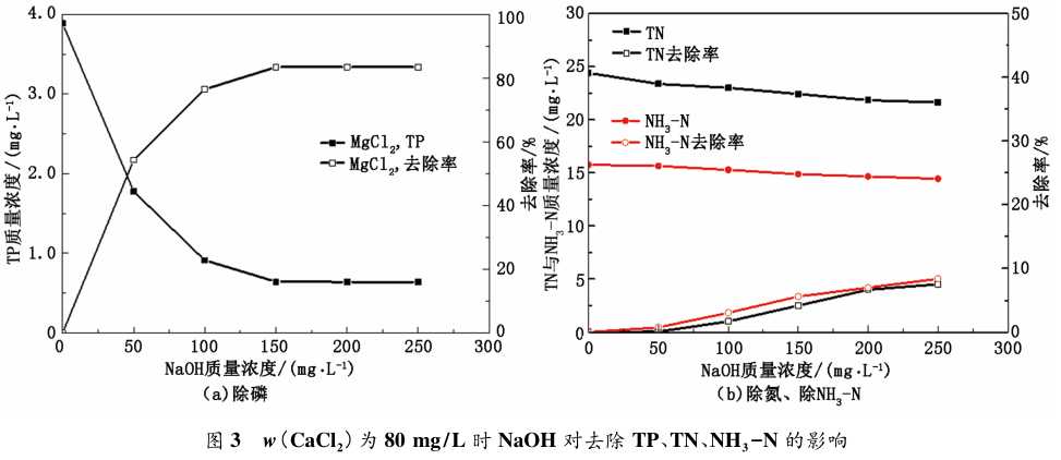 除磷有方：守护碧水清波的实用秘诀