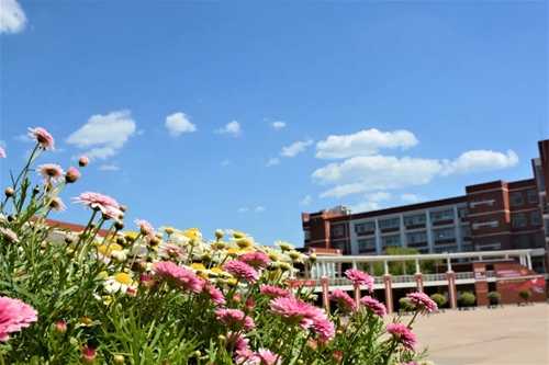 青岛开发区技术监督局那些不得不说的事儿