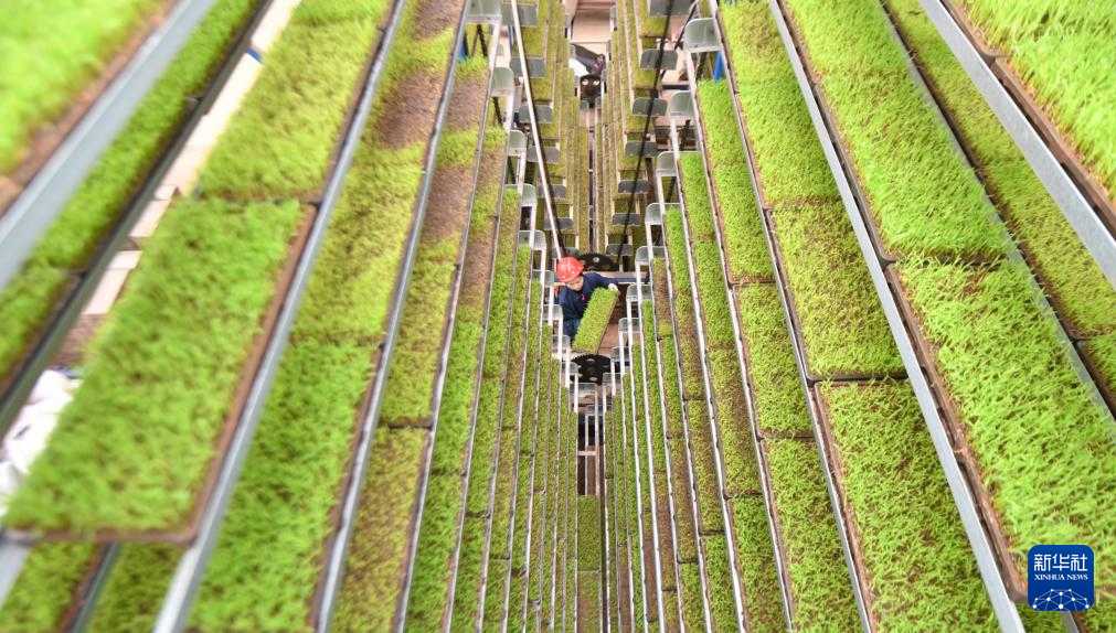 饮水安全这事真不能马虎，你家水龙头流出的每一滴水都靠谱吗？