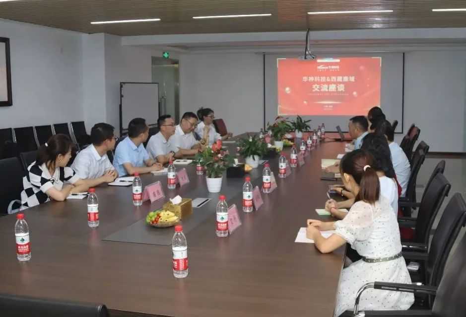 高原上的技术掌舵人：西藏技术经理的挑战与机遇
