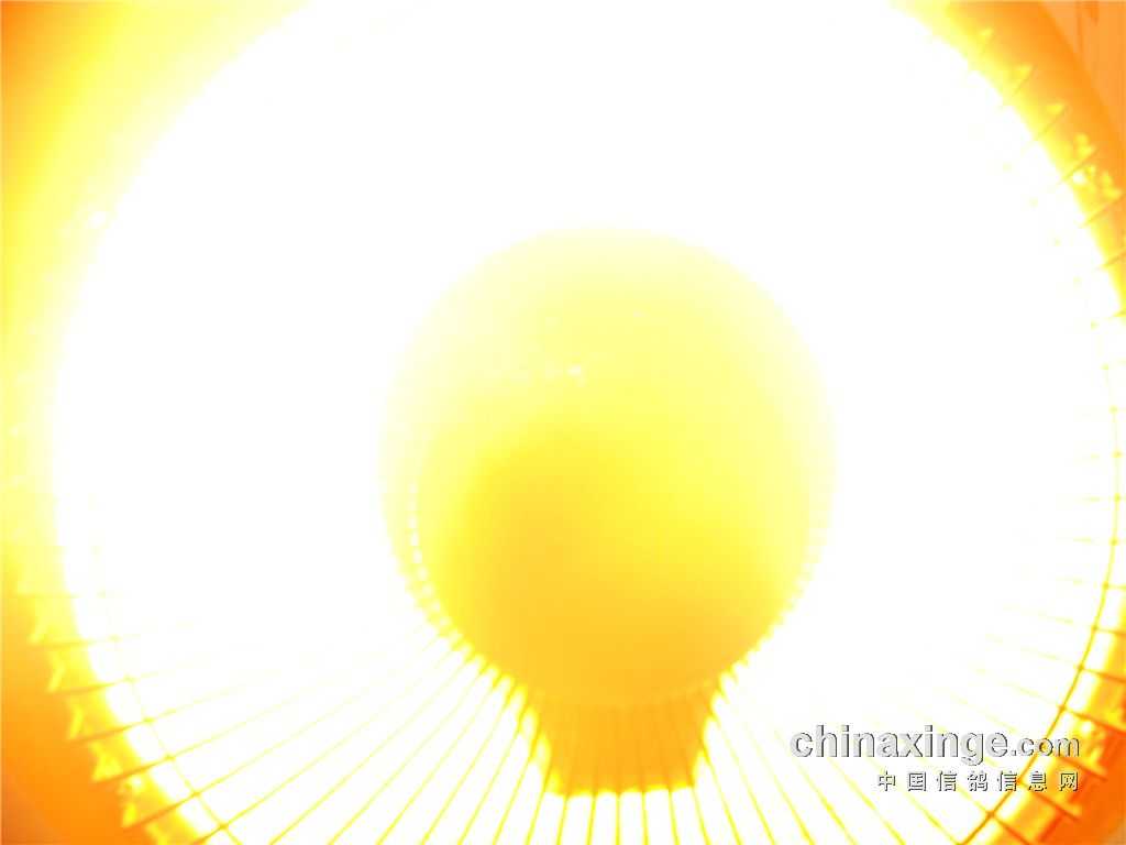 鸽子保温全攻略：温暖小窝的秘诀